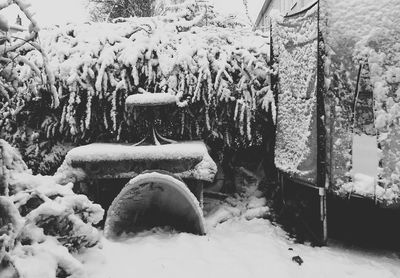 Snow on ground