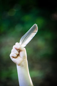 Close-up of hand holding leaf