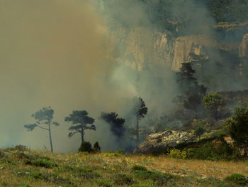 Smoke emitting from fire on mountain