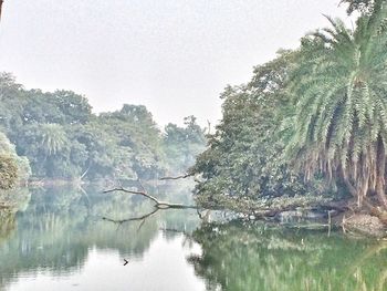 Reflection of trees in lake against sky