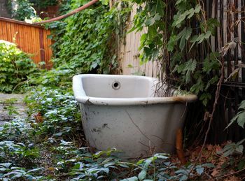 Old bathtub abandoned in the yard