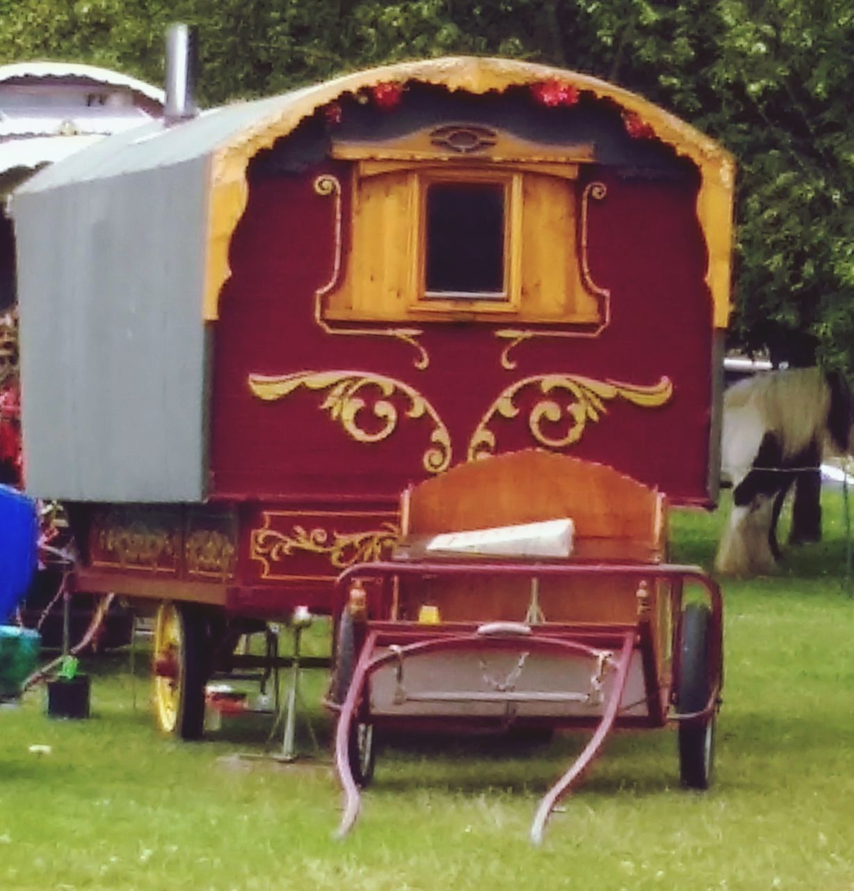 TRAIN ON FIELD AGAINST TREES