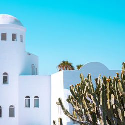 Stylish tropical location. cactus and typical canarian architecture. travel concept