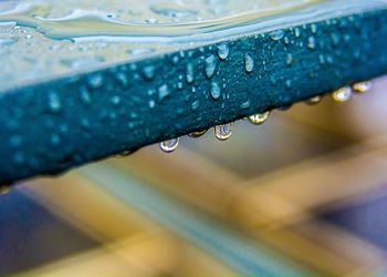 Close-up of water drops on leaf