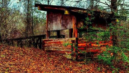 House with trees in background