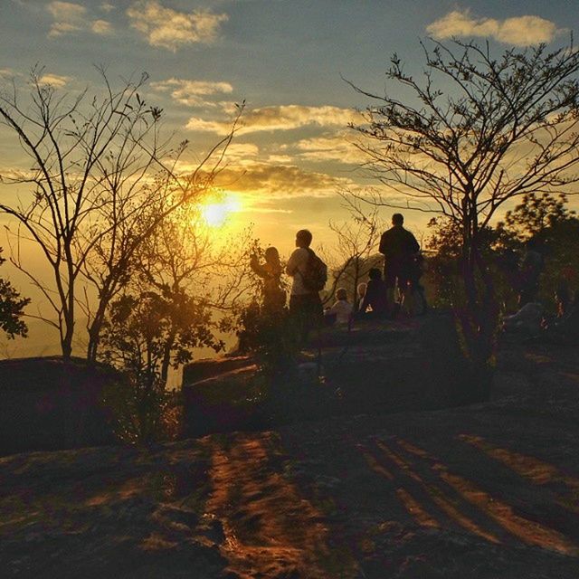 sunset, silhouette, lifestyles, sky, men, leisure activity, tree, togetherness, full length, bare tree, bonding, orange color, cloud - sky, rear view, nature, love, person