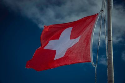 Low angle view of maple leaf against sky