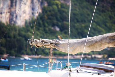 Close-up of sailboat on sea against plants
