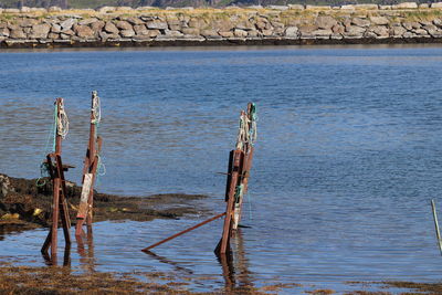 Wooden posts in lake
