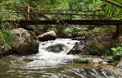 River flowing through rocks in forest