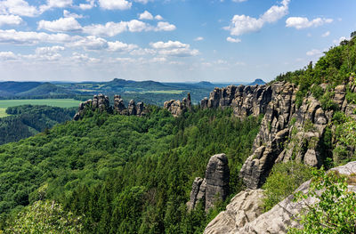 Panoramic view of trees on landscape against sky