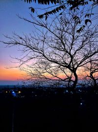 Silhouette bare tree against sky at sunset