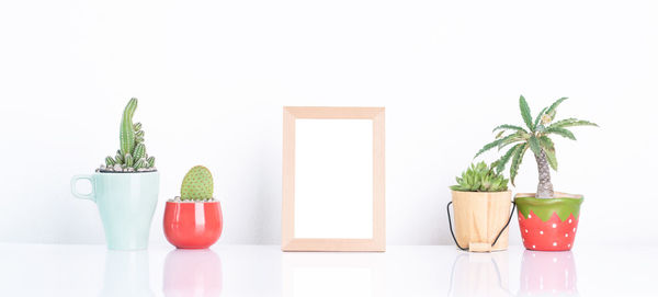 Close-up of potted plant on table against white background