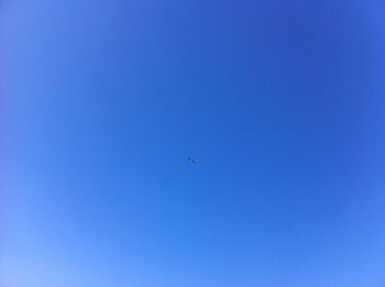 Low angle view of bird flying against clear blue sky