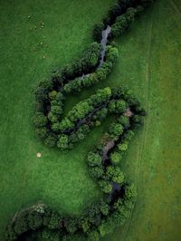 High angle view of road