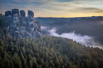 Panoramic view of forest against sky during sunset