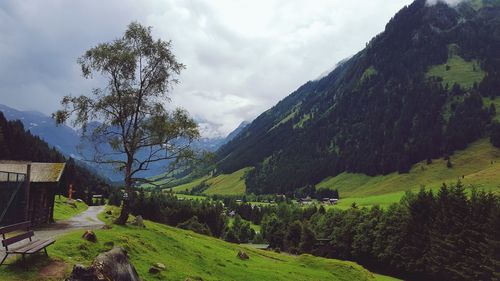 Scenic view of agricultural landscape against sky