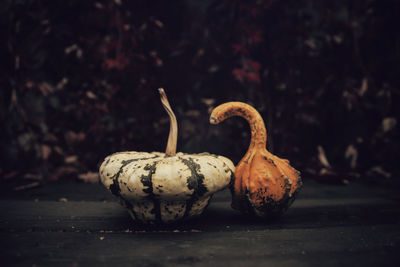 Close-up of pumpkin on table