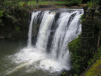 Waterfall in forest