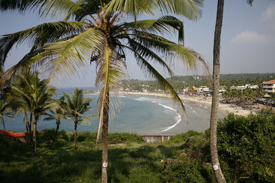 Palm trees by sea against sky