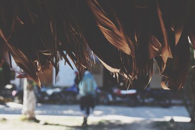 Rear view of woman walking on street in city