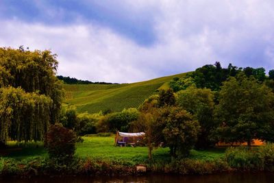 Scenic view of field against clear sky