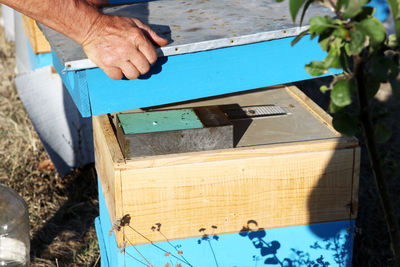 Preparing honey bees for winter