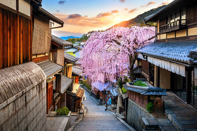 Alley amidst houses and buildings against sky