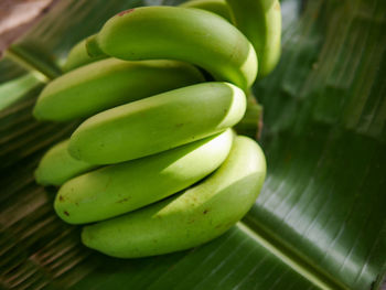 High angle view of green fruits on table