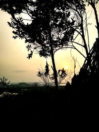 Silhouette trees against sky during sunset