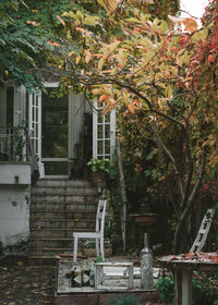 Trees and plants growing outside building