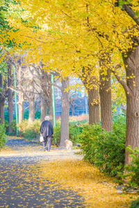 Rear view of people walking in park