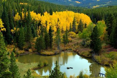 Scenic view of river by trees and mountains