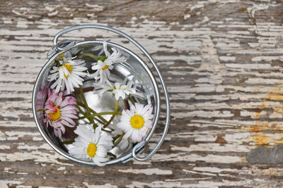 Directly above shot of daisies in bucket on wooden table