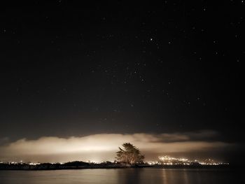 Scenic view of tree against sky at night