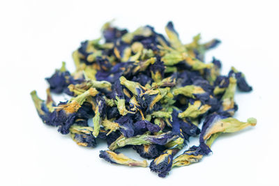 Close-up of vegetable on white background