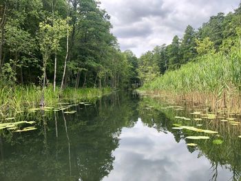 Scenic view of lake by trees against sky