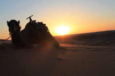 Scenic view of desert against sky during sunset