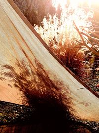 Close-up of sunlight falling on wood