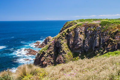 The shore of phillip island on a sunny day