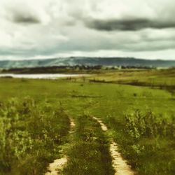 Scenic view of grassy field against sky