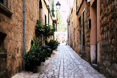 Narrow alley amidst buildings