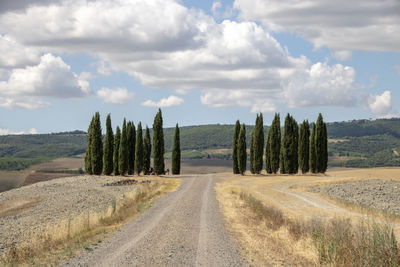 Panoramic shot of road amidst trees on field against sky