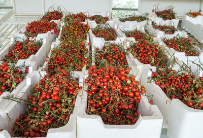 High angle view of cherry tomatoes in crates