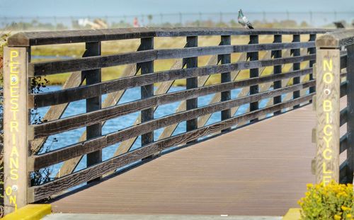 Pigeon perching on railing of footbridge over river