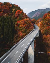 Road amidst trees in forest against sky during autumn