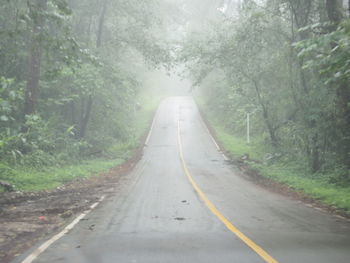 Empty road along trees