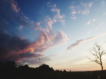 Low angle view of silhouette trees against sky during sunset