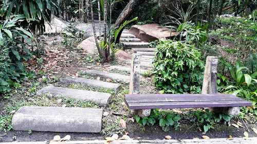 Bench in park