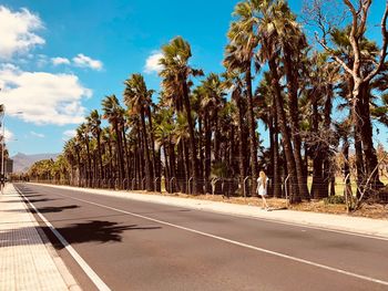 Road by trees against sky